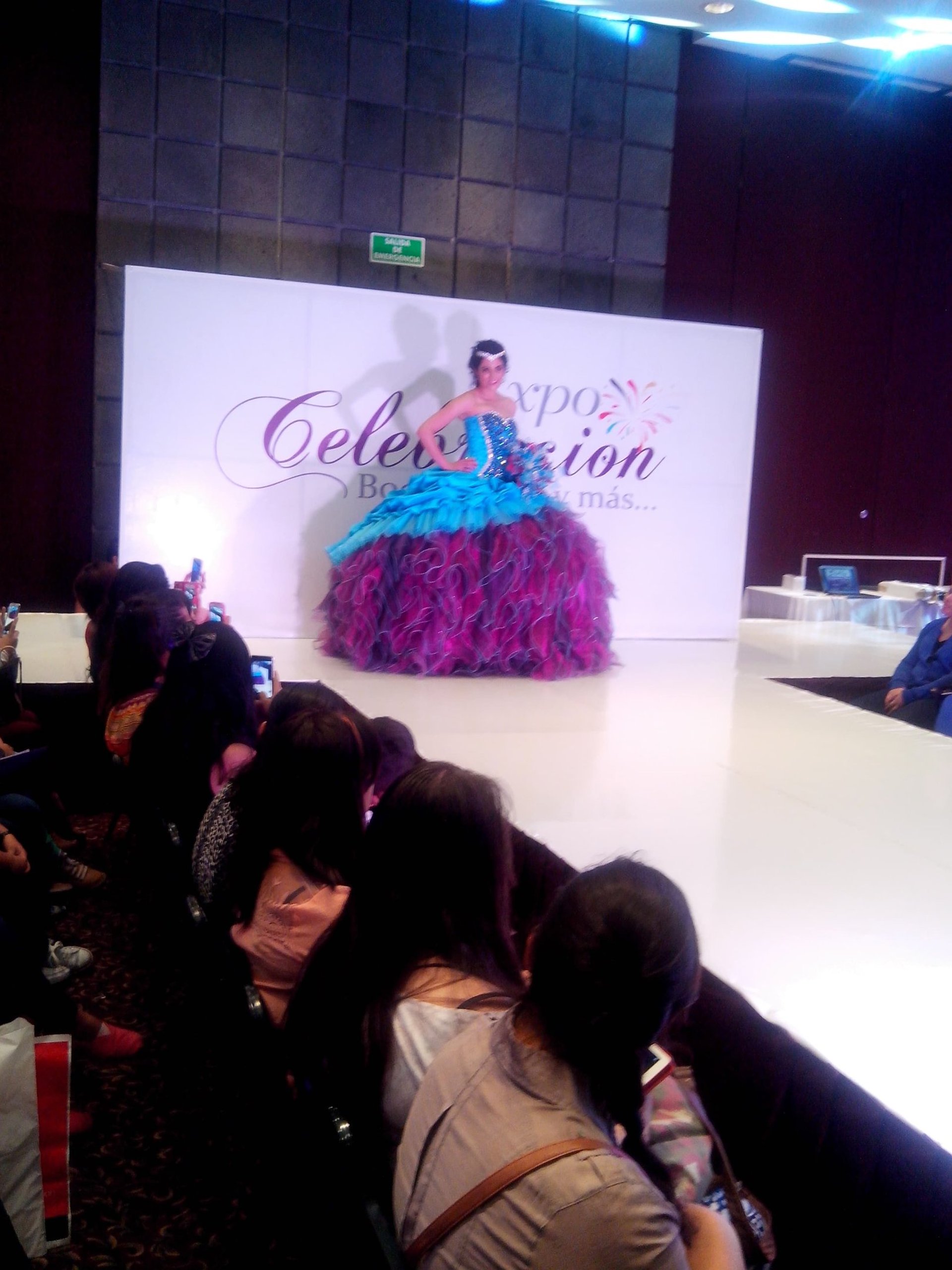 Expo celebración 2014