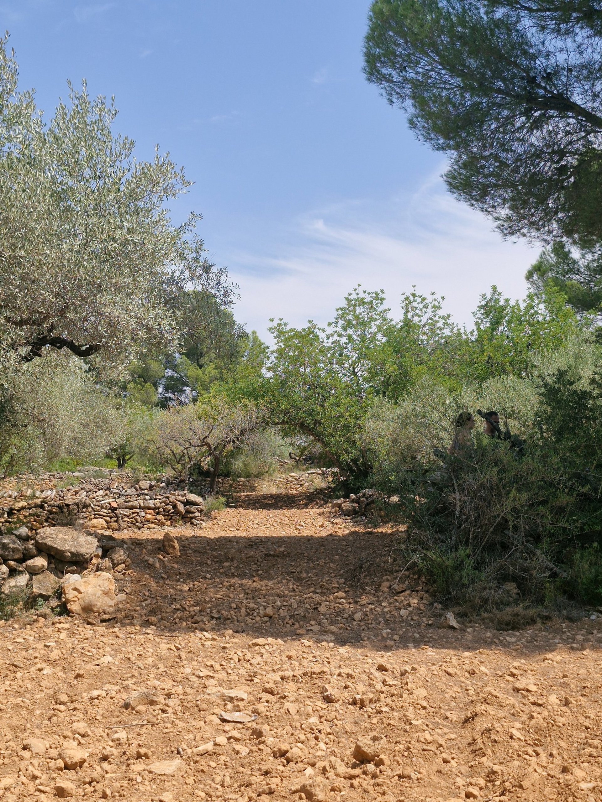 black blue and yellow textile