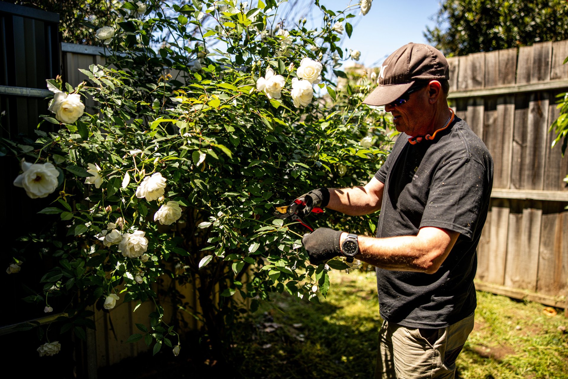 black and brown leather padded tub sofa
