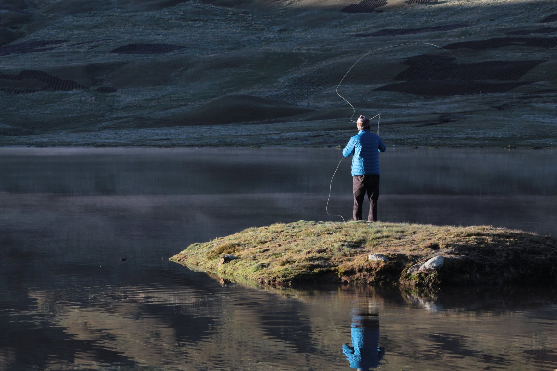 black and white bed linen