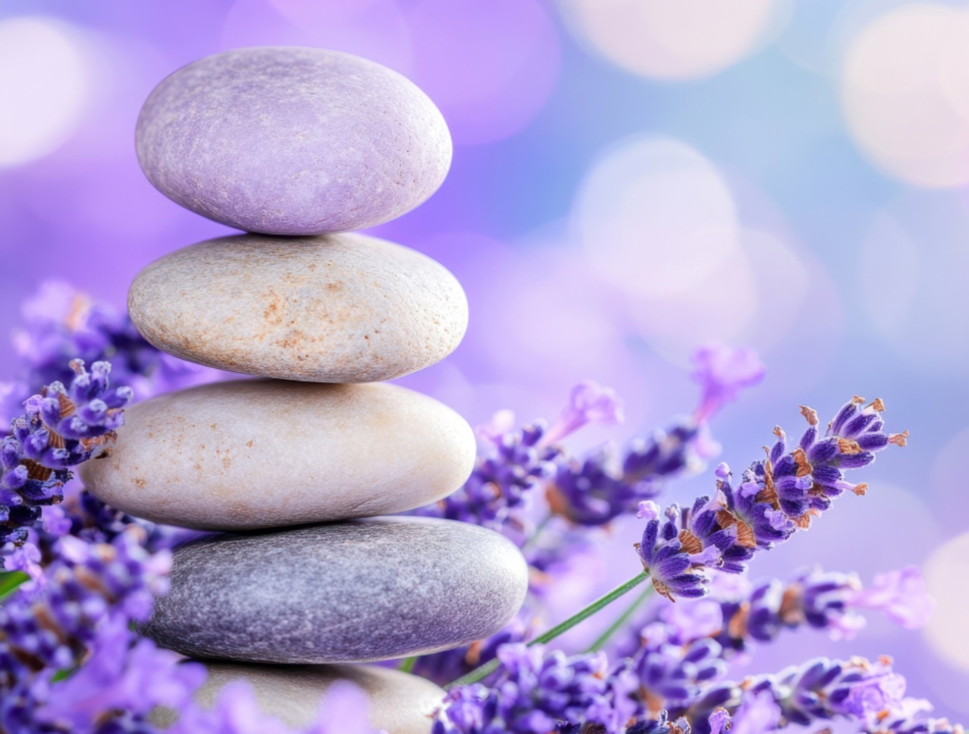 aerial photo of seashore