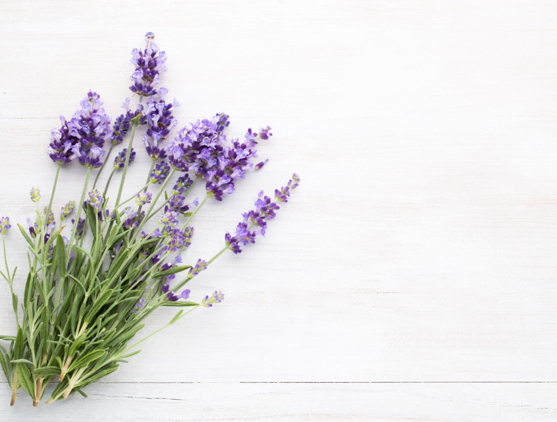 blue and white light digital wallpaper