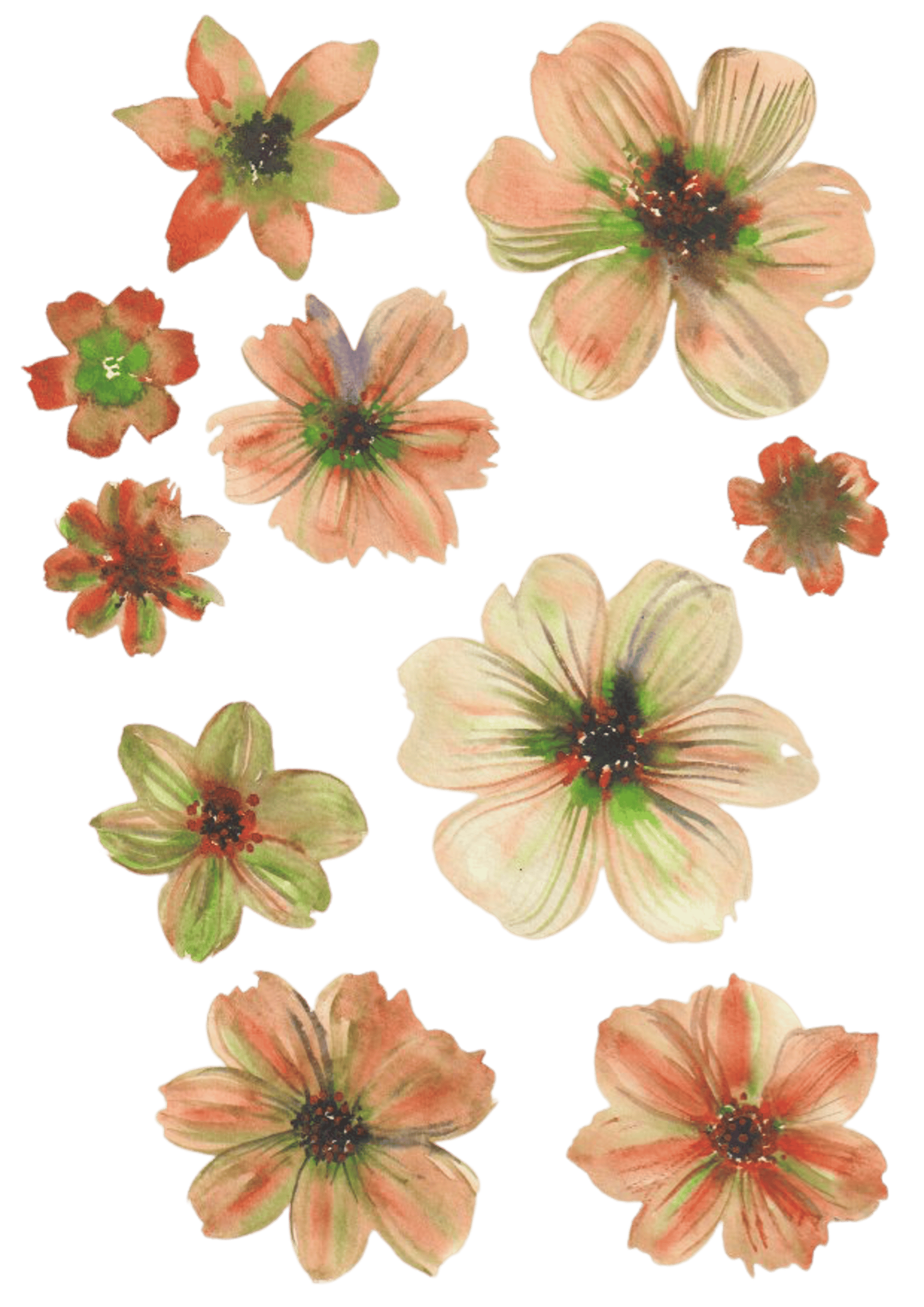 woman holding dried flower