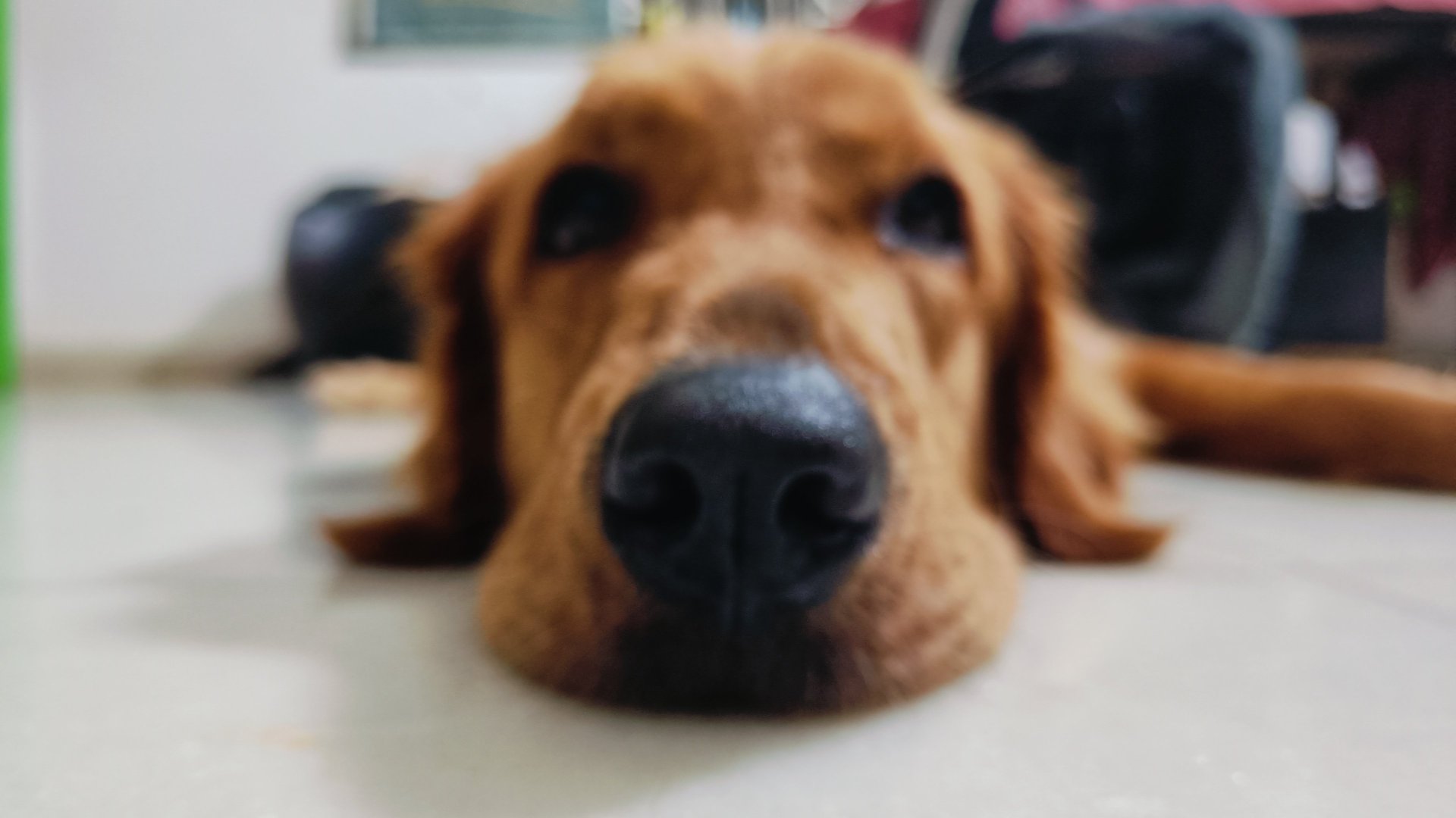 woman wearing yellow long-sleeved dress under white clouds and blue sky during daytime