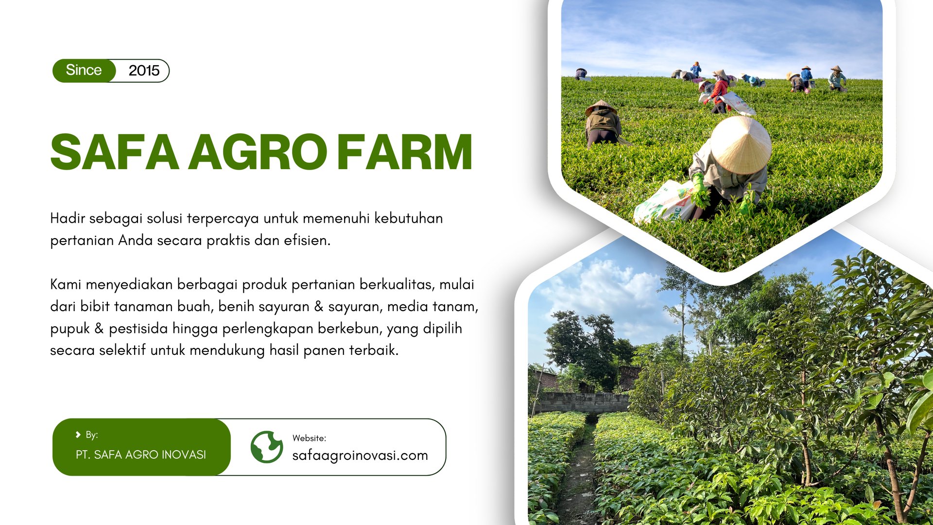 woman holding dried flower