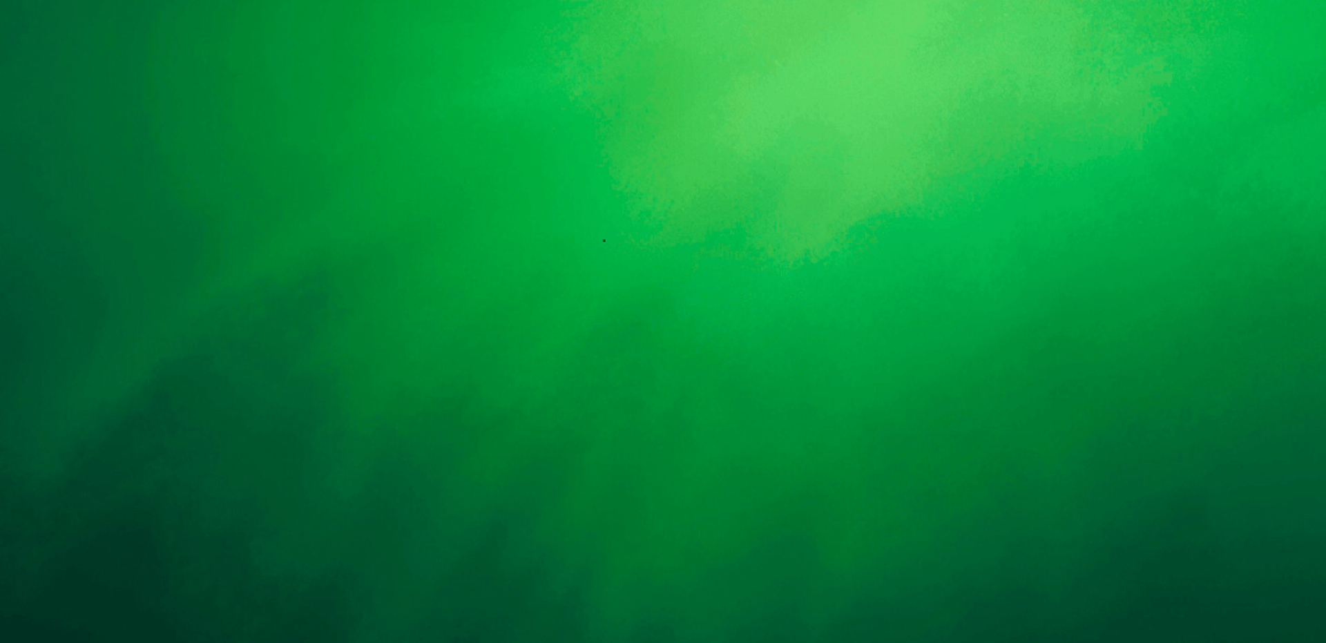 gray computer monitor