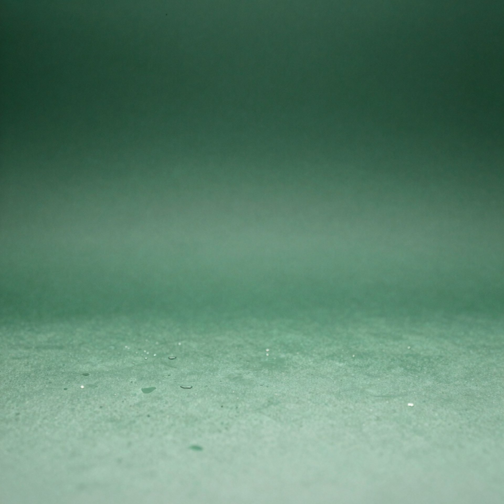 woman holding dried flower