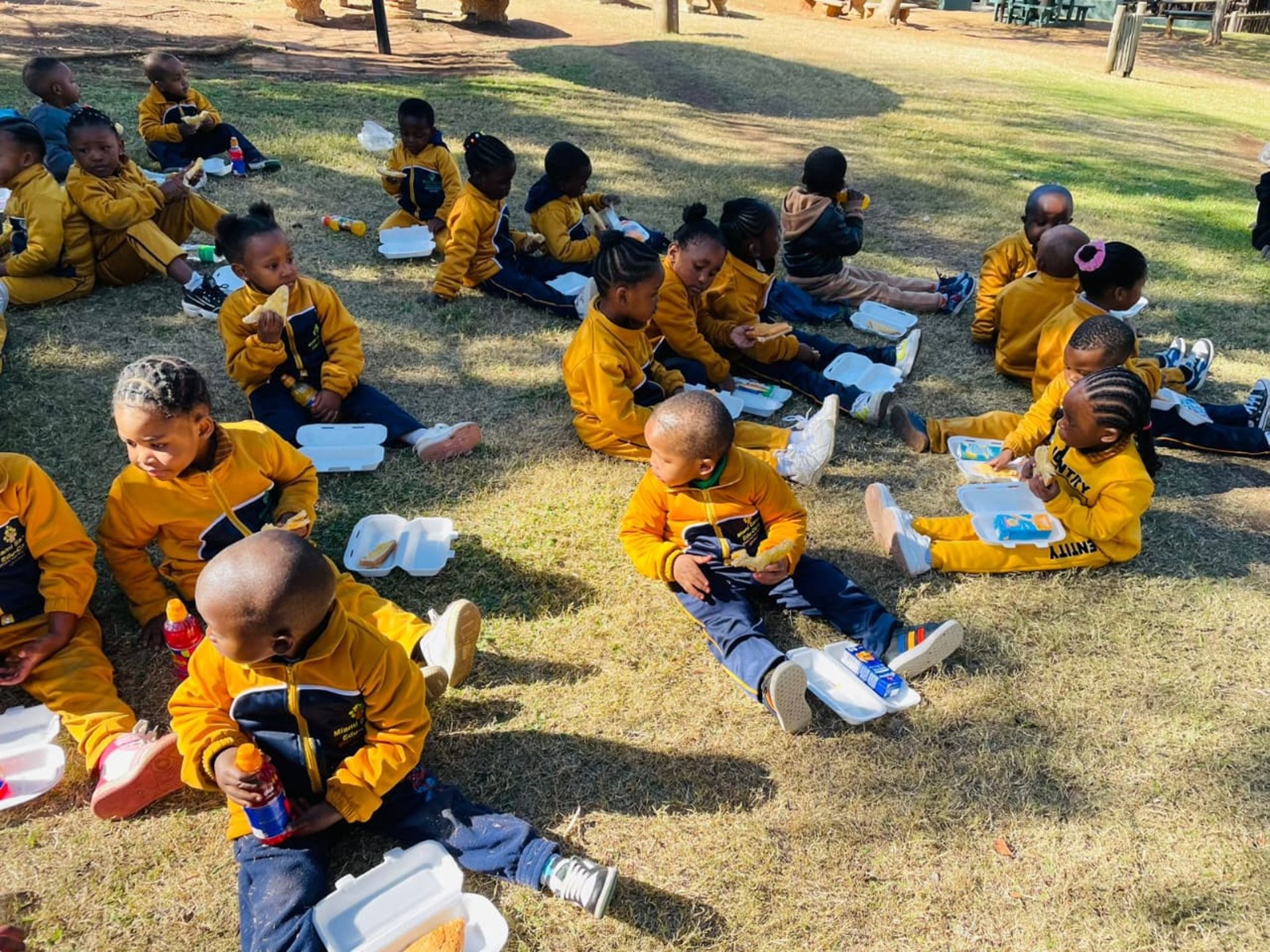 flat lay photography of paintings