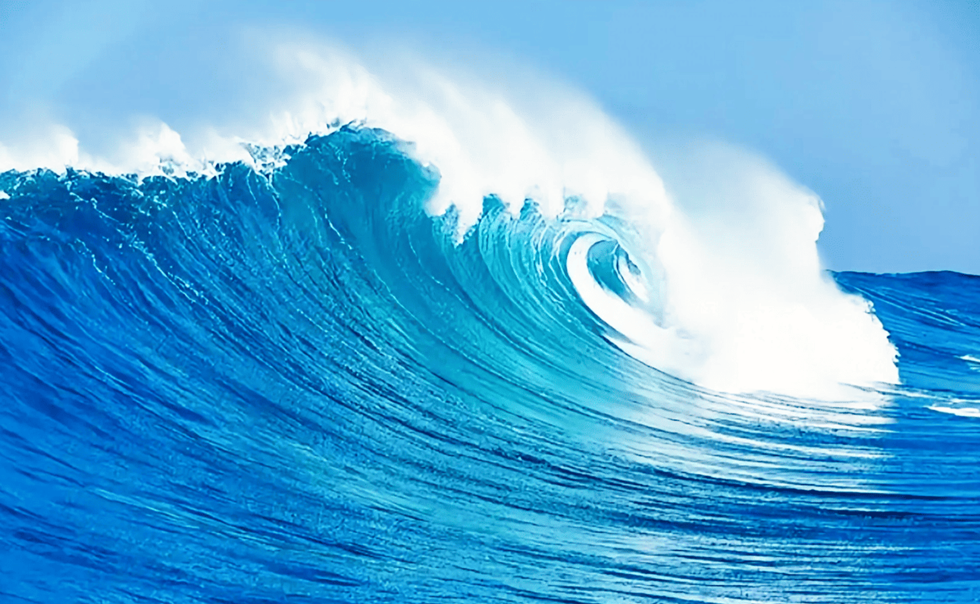 black and brown leather padded tub sofa