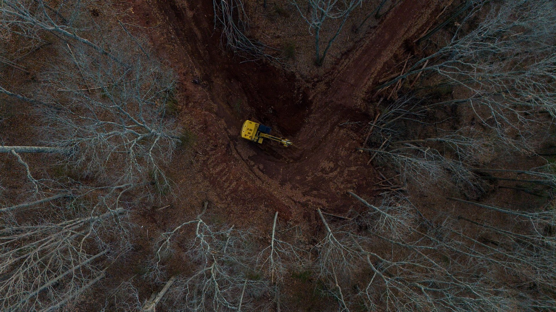 an abstract photo of a curved building with a blue sky in the background