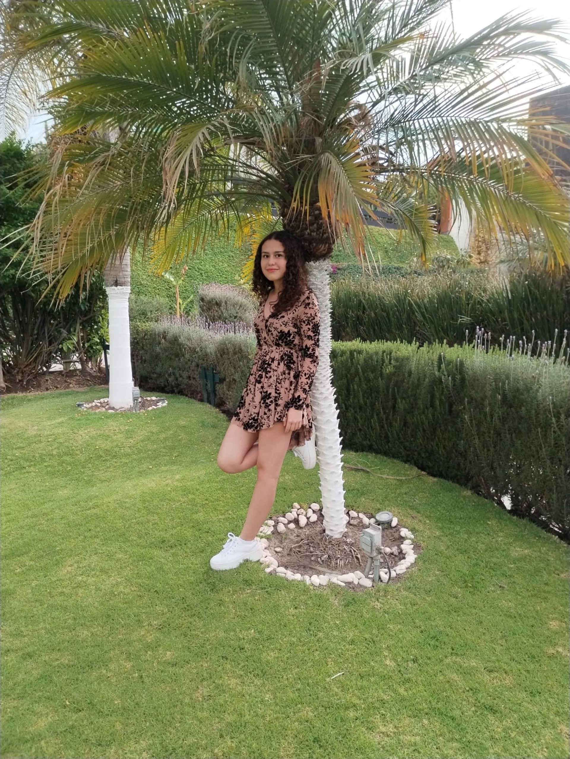 gray computer monitor