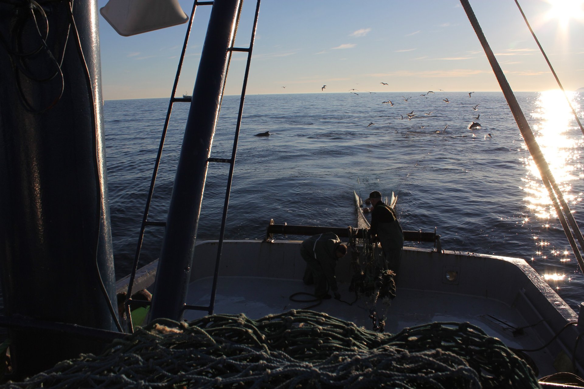 black and white bed linen