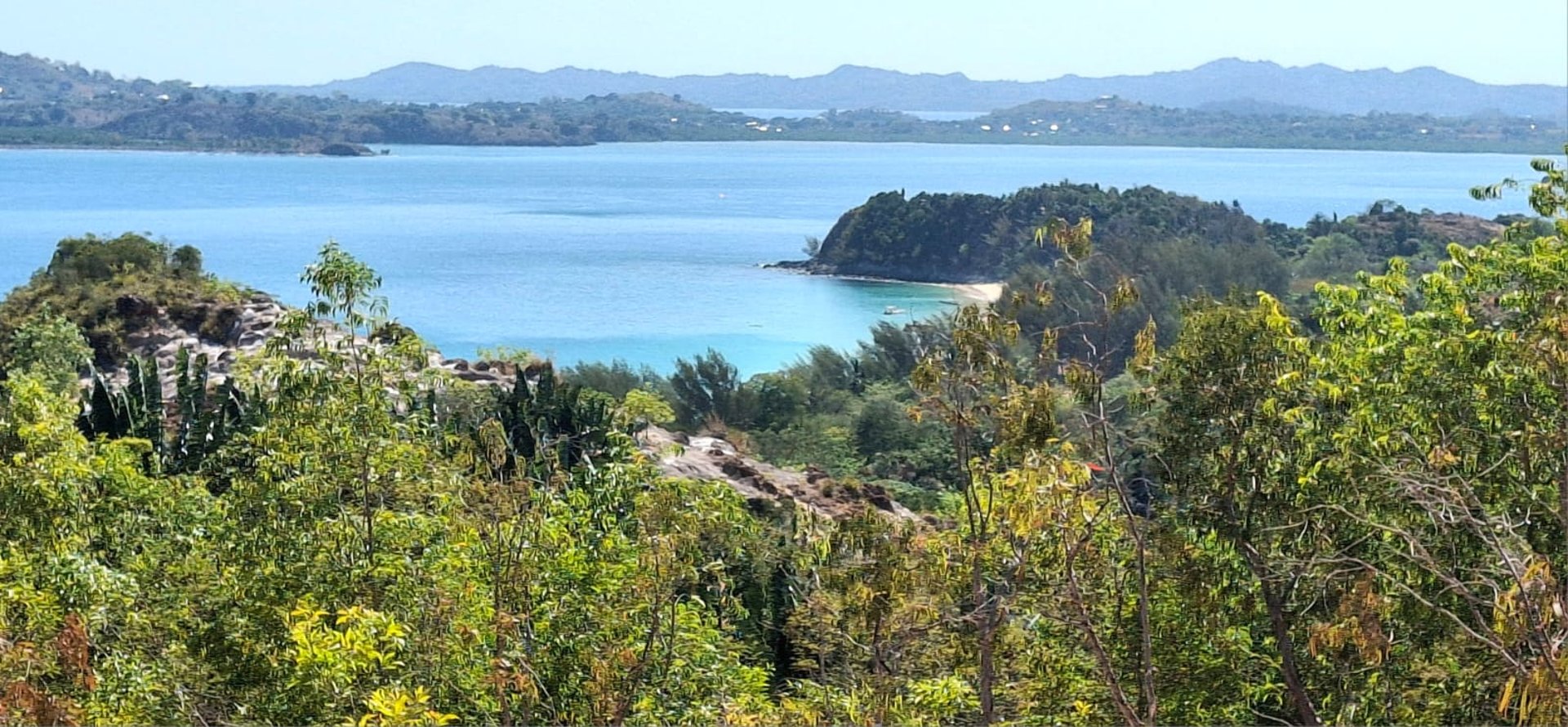 black and white bed linen