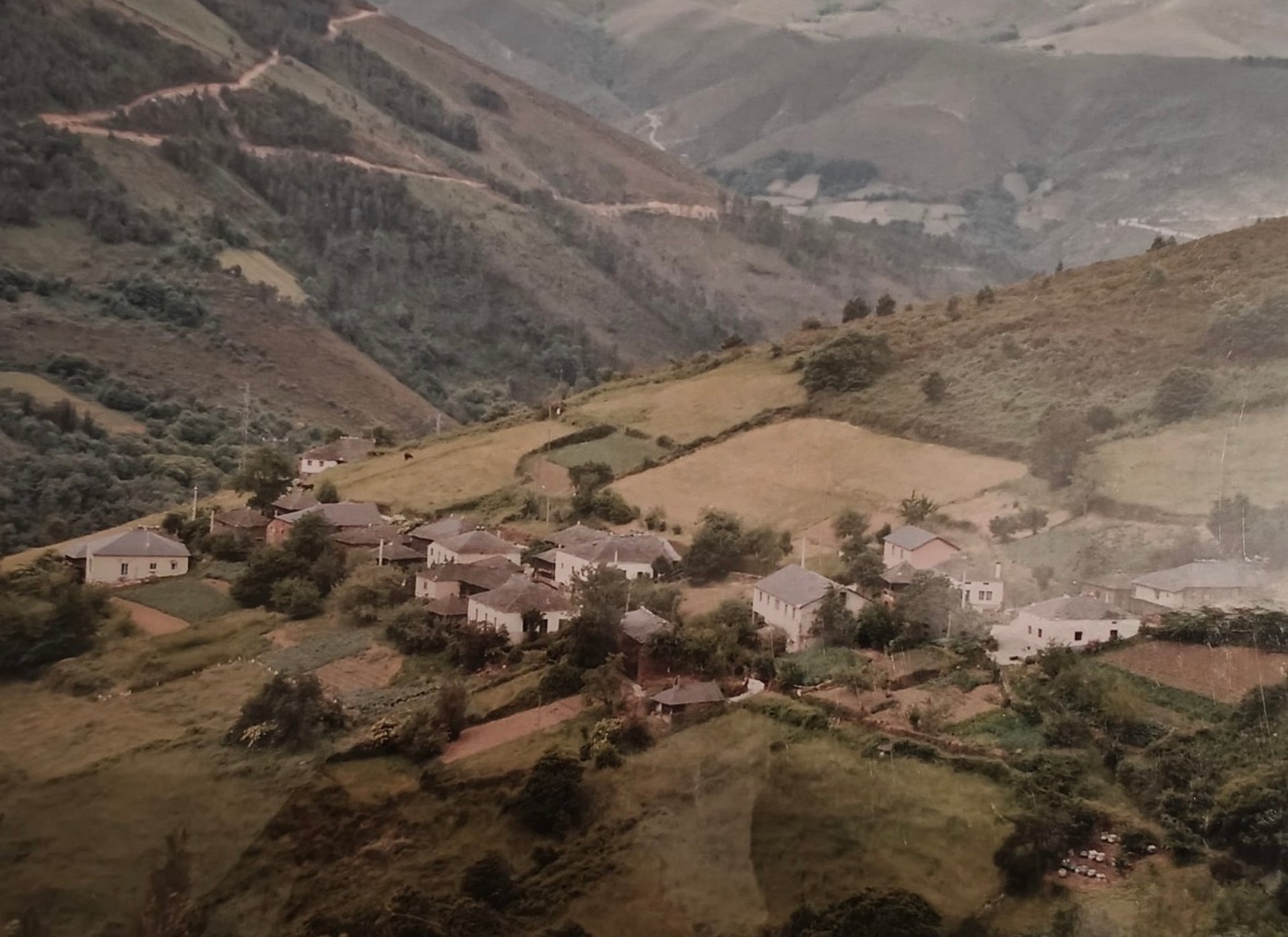 gray computer monitor