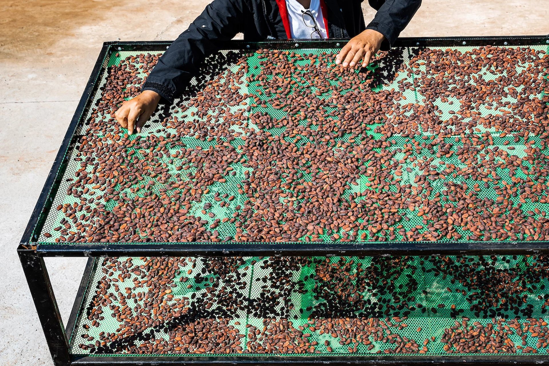 Premium Indonesian Cocoa Powder Supplier - Cocoa Prime.
