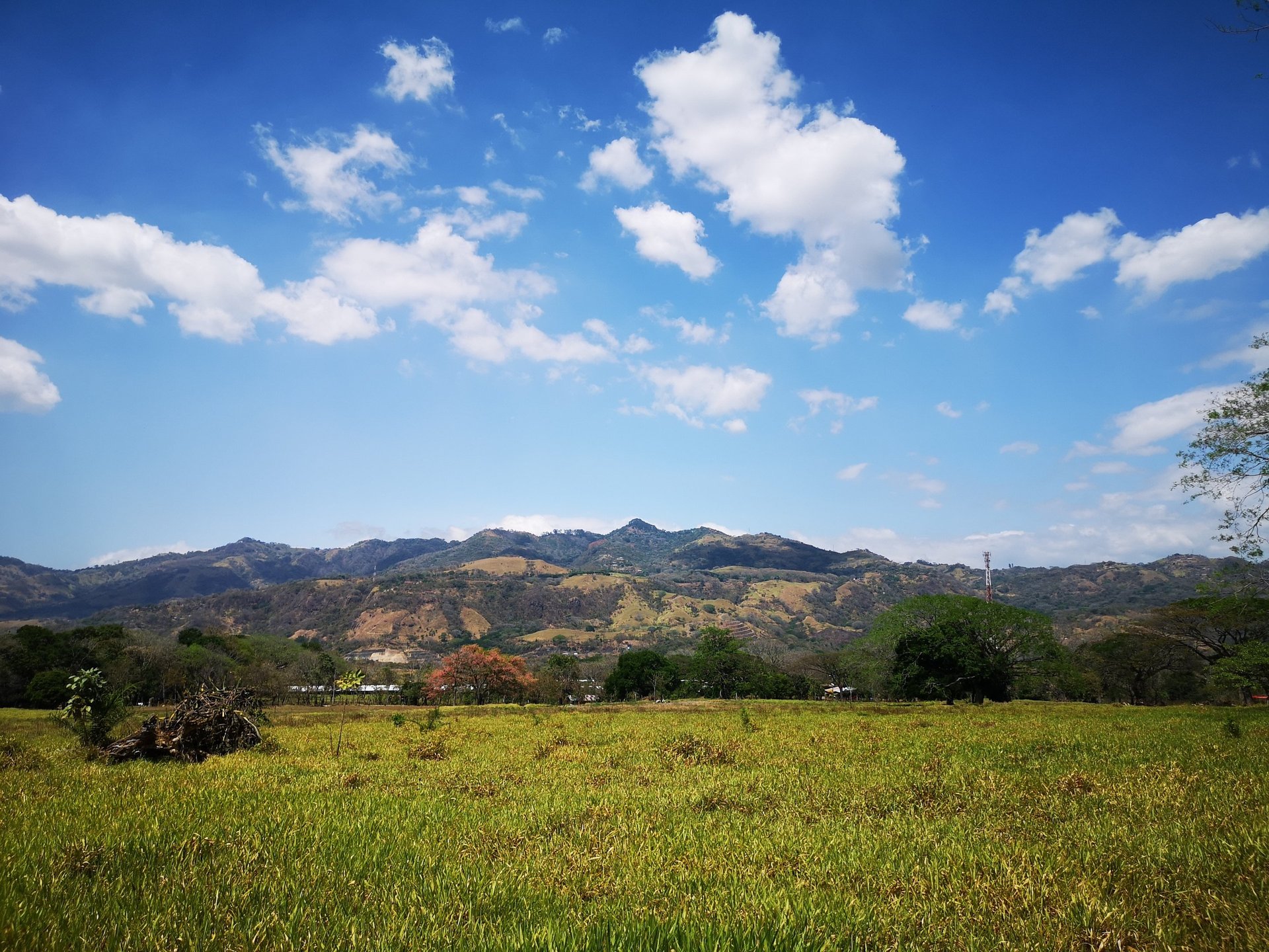 gray computer monitor