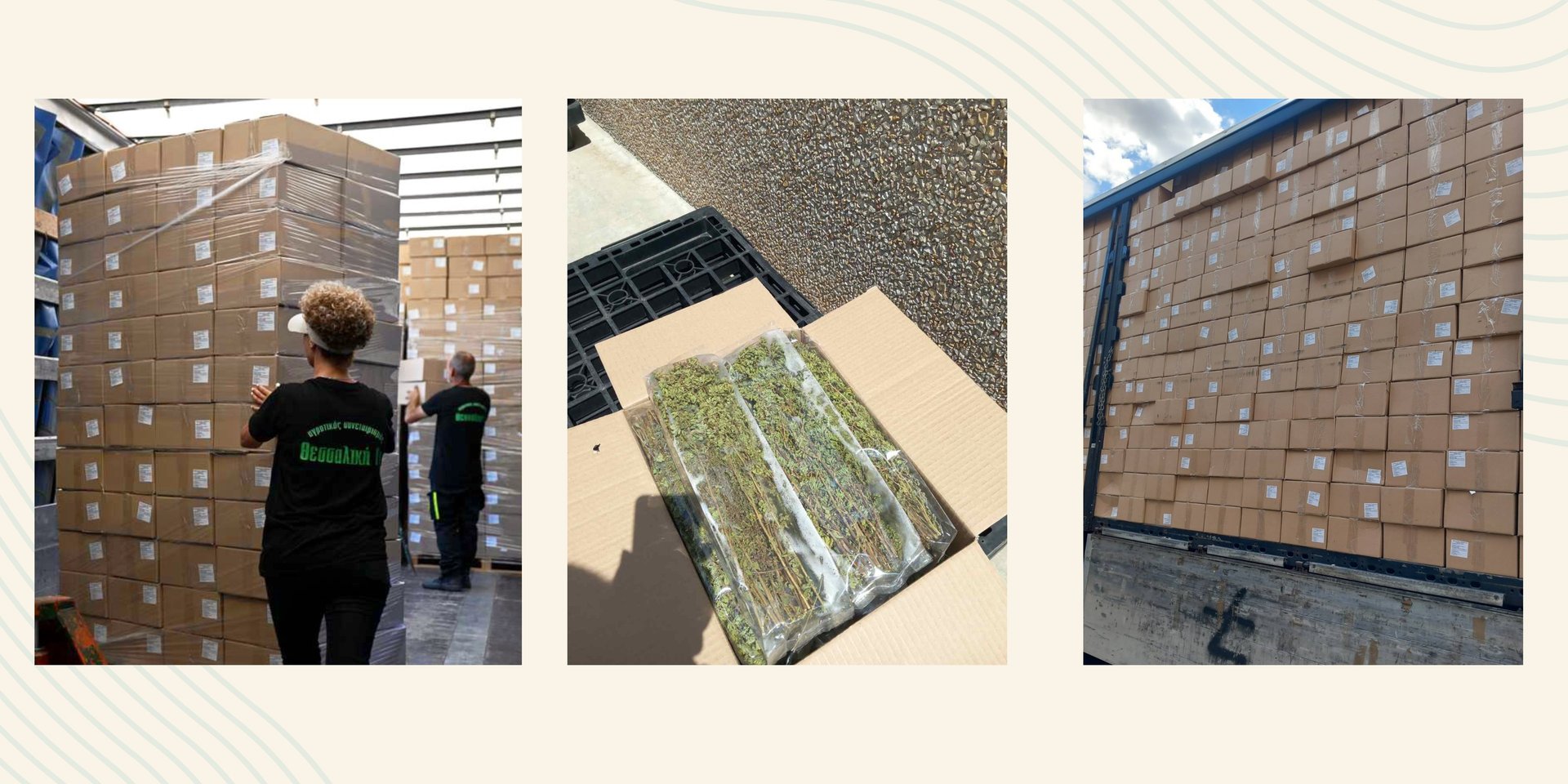 black blue and yellow textile