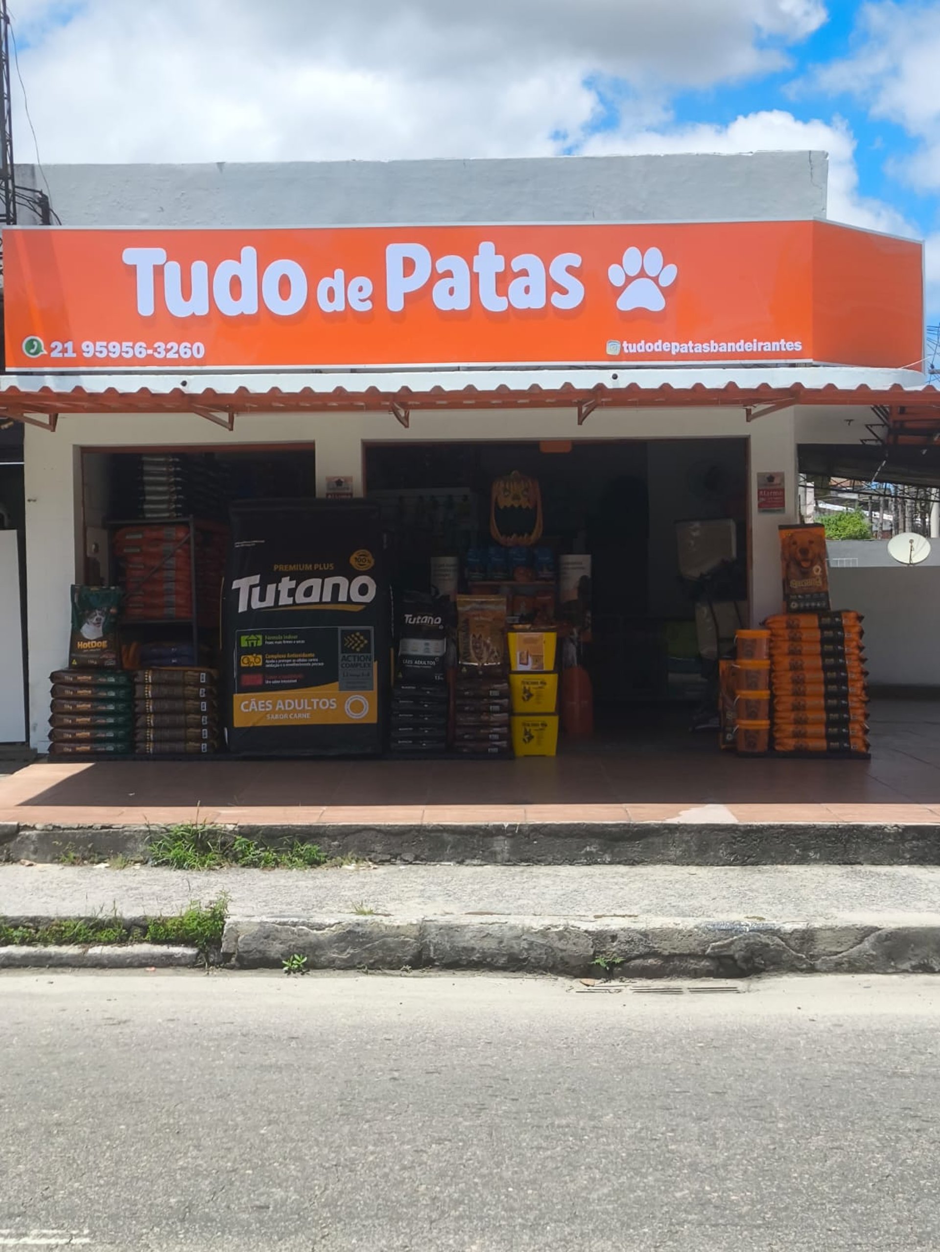 woman wearing yellow long-sleeved dress under white clouds and blue sky during daytime