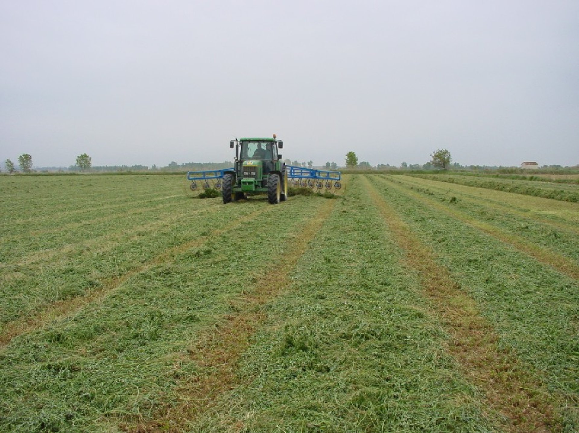gray computer monitor