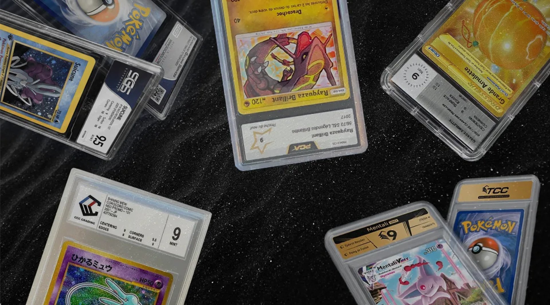 woman holding dried flower