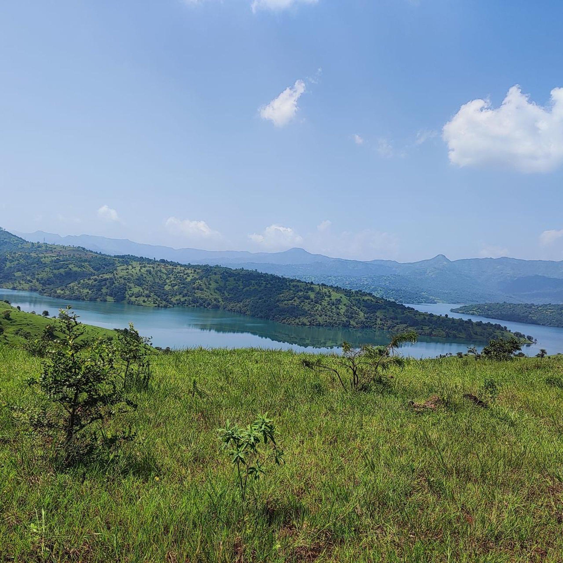 an aerial view of a green field with lots of trees