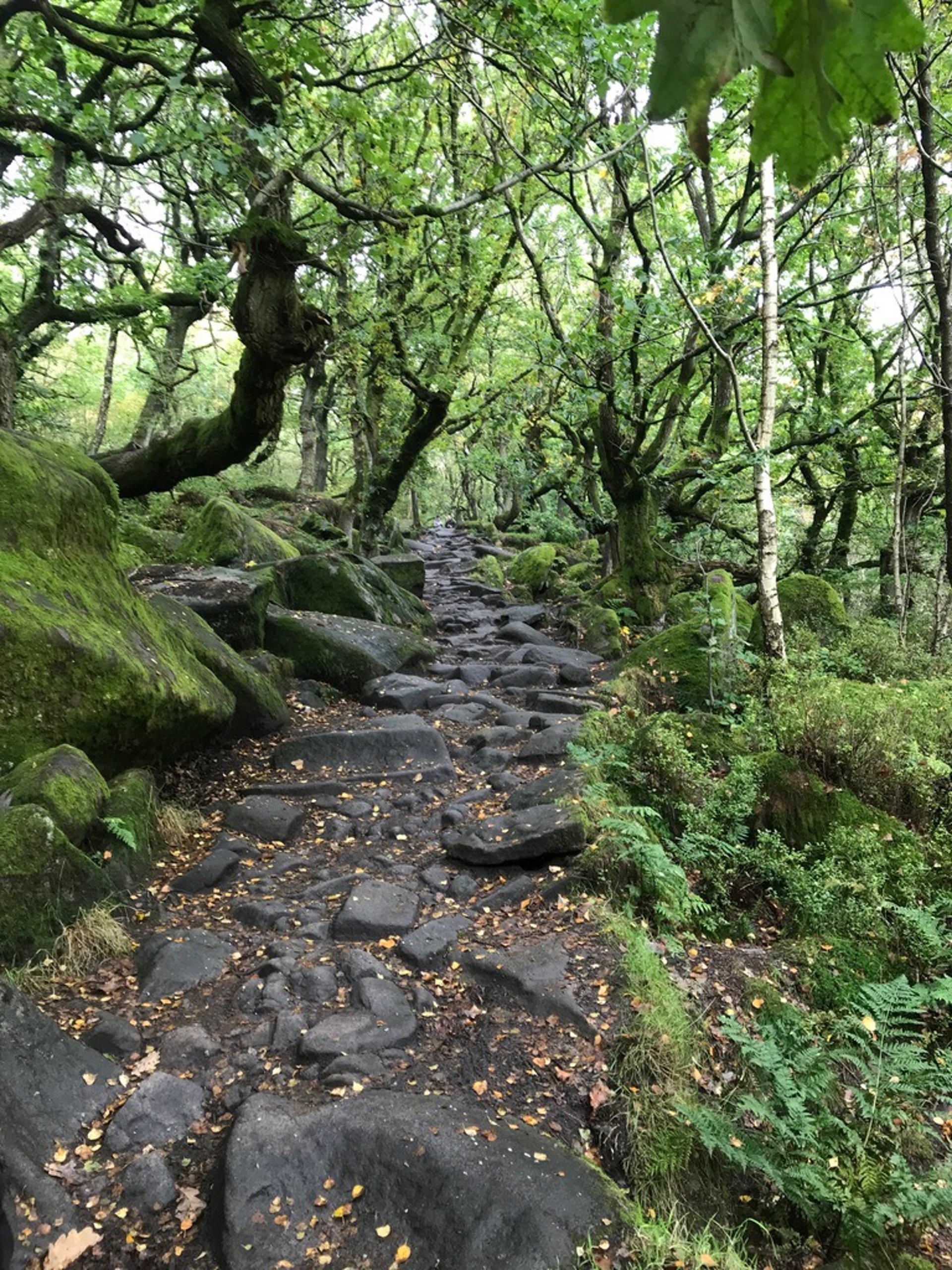 gray computer monitor