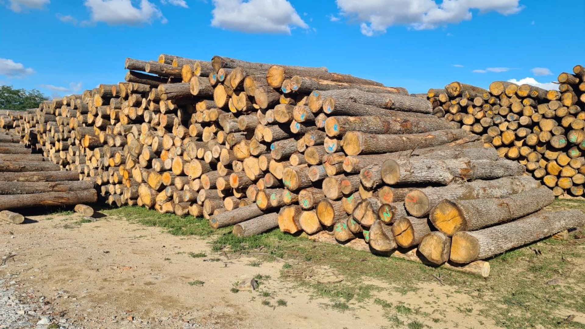 black and brown leather padded tub sofa