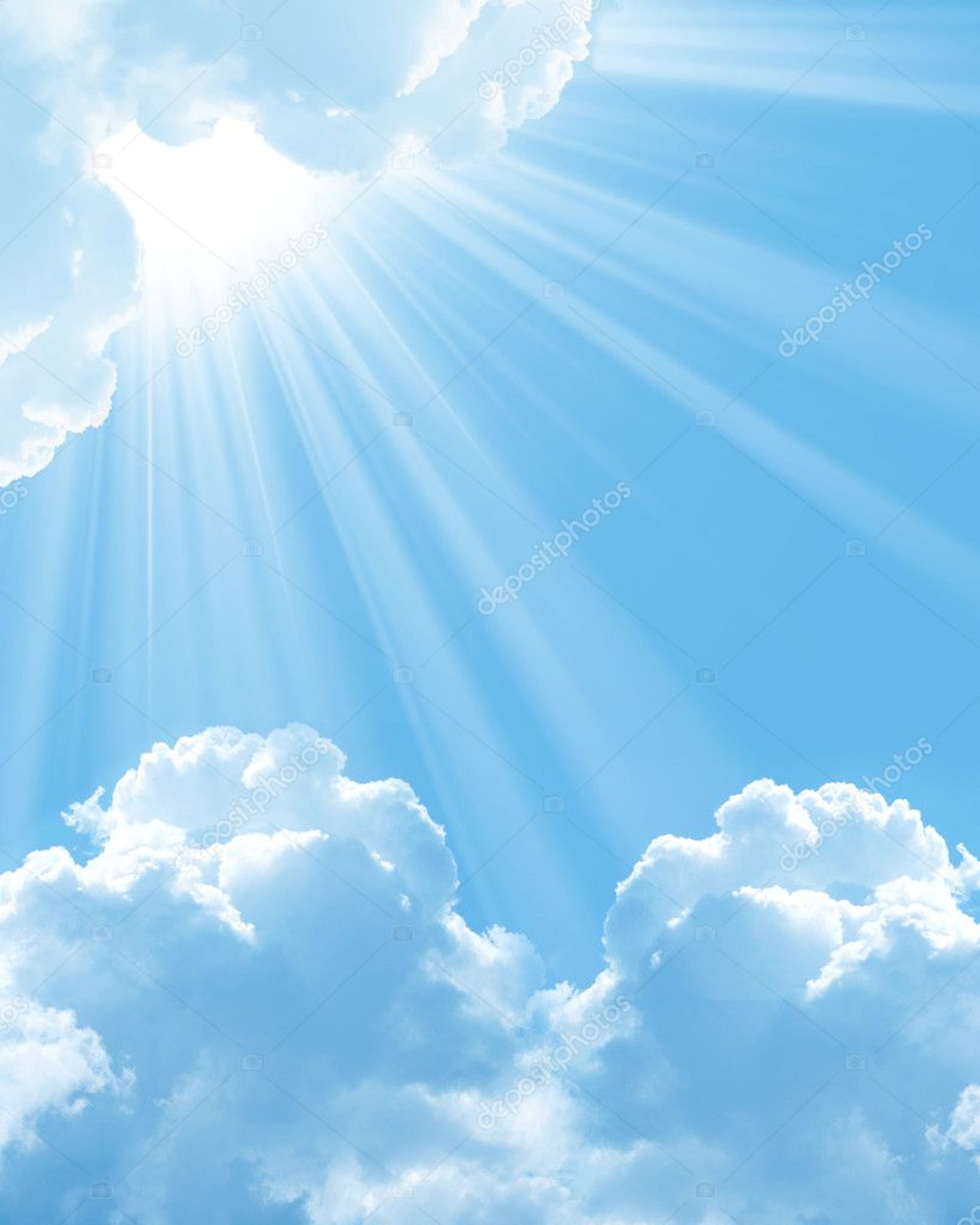 water falls in the forest