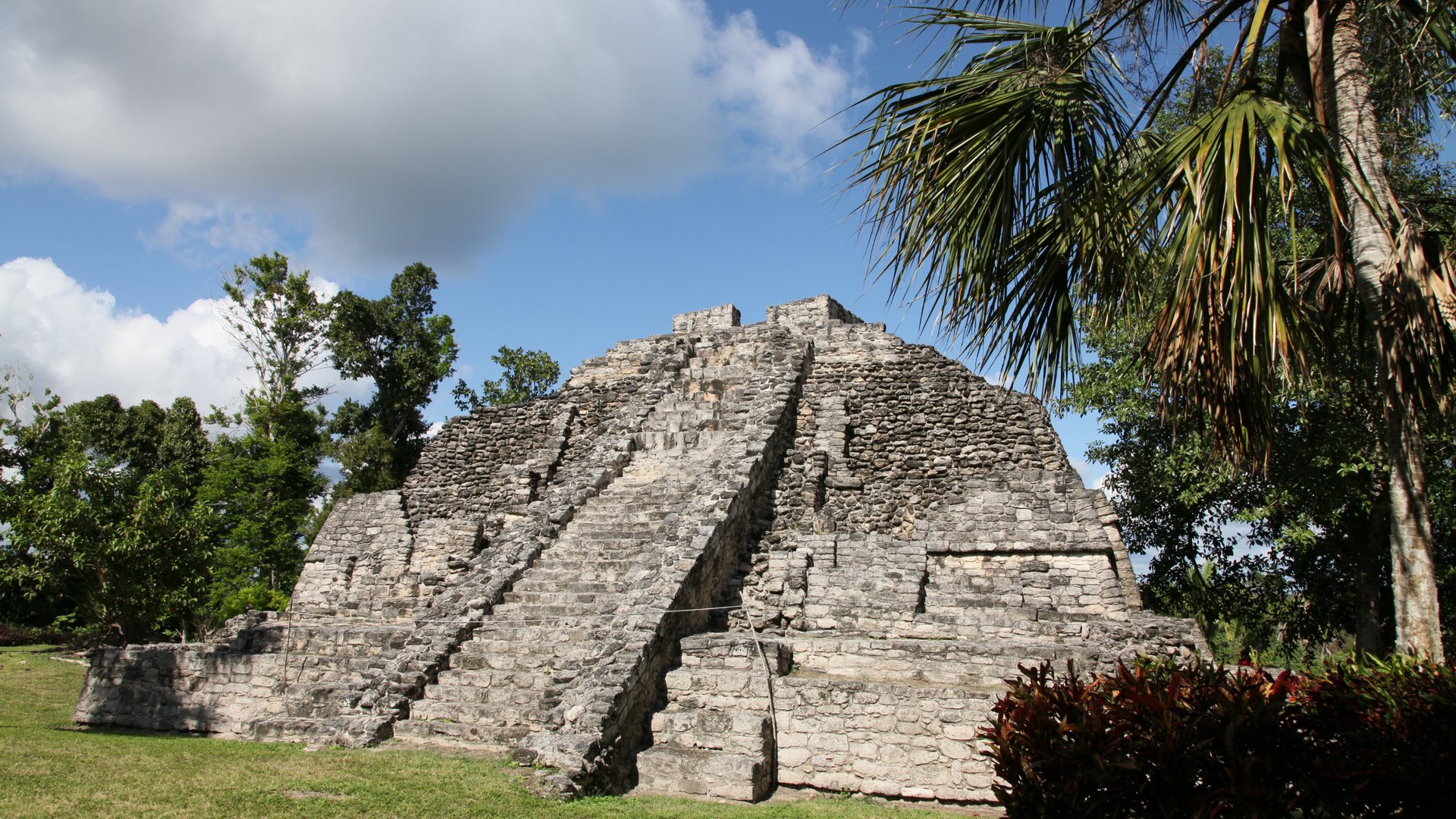 black and white bed linen