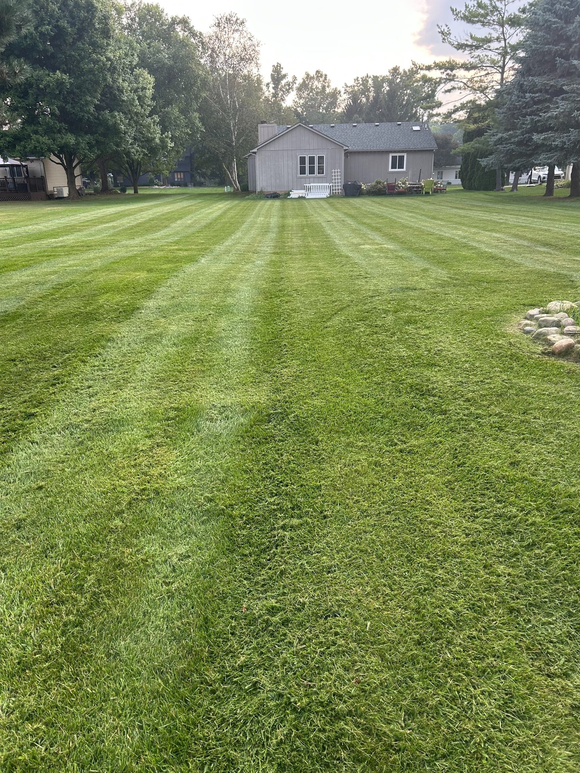 black and white bed linen