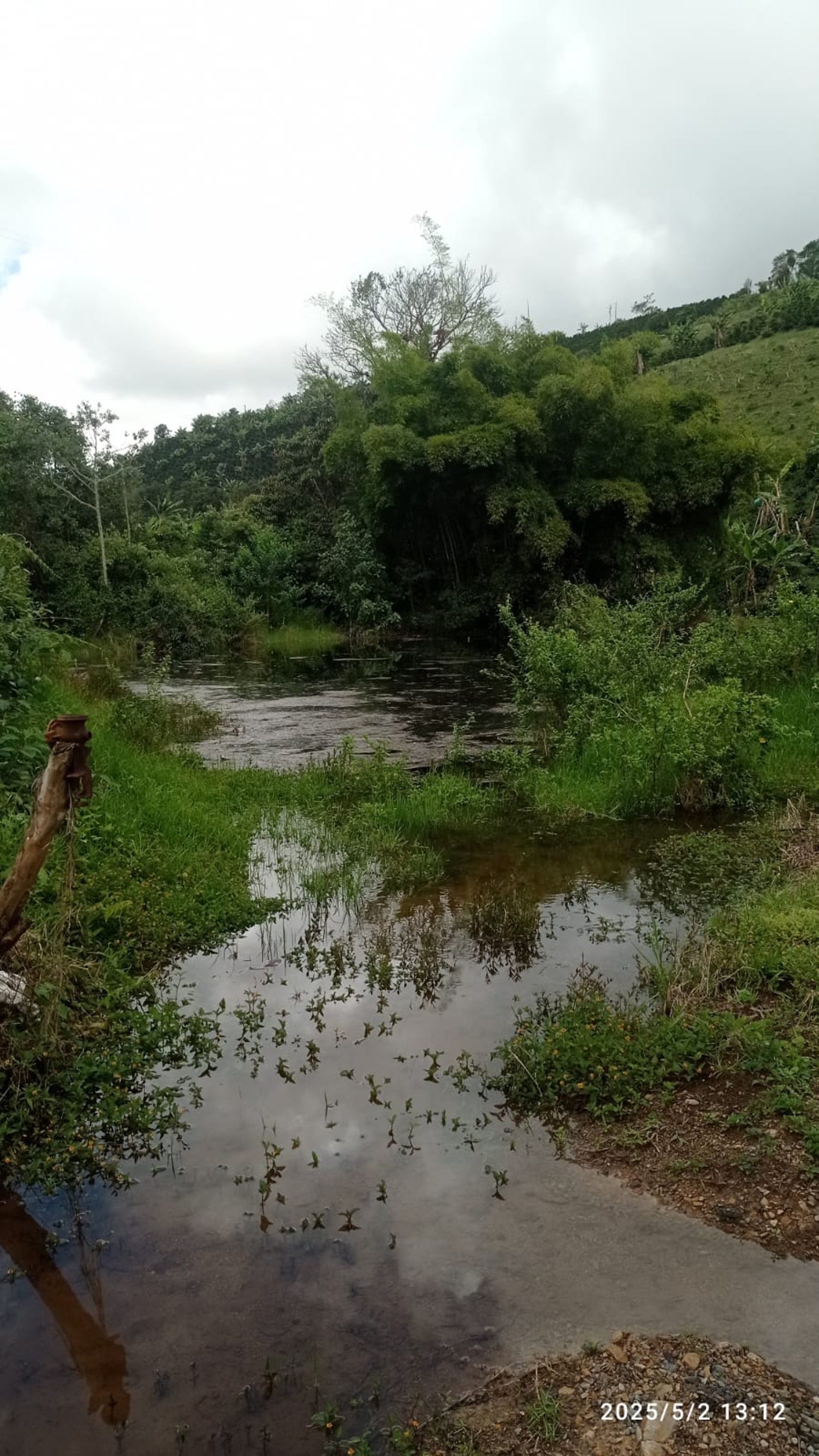 gray computer monitor
