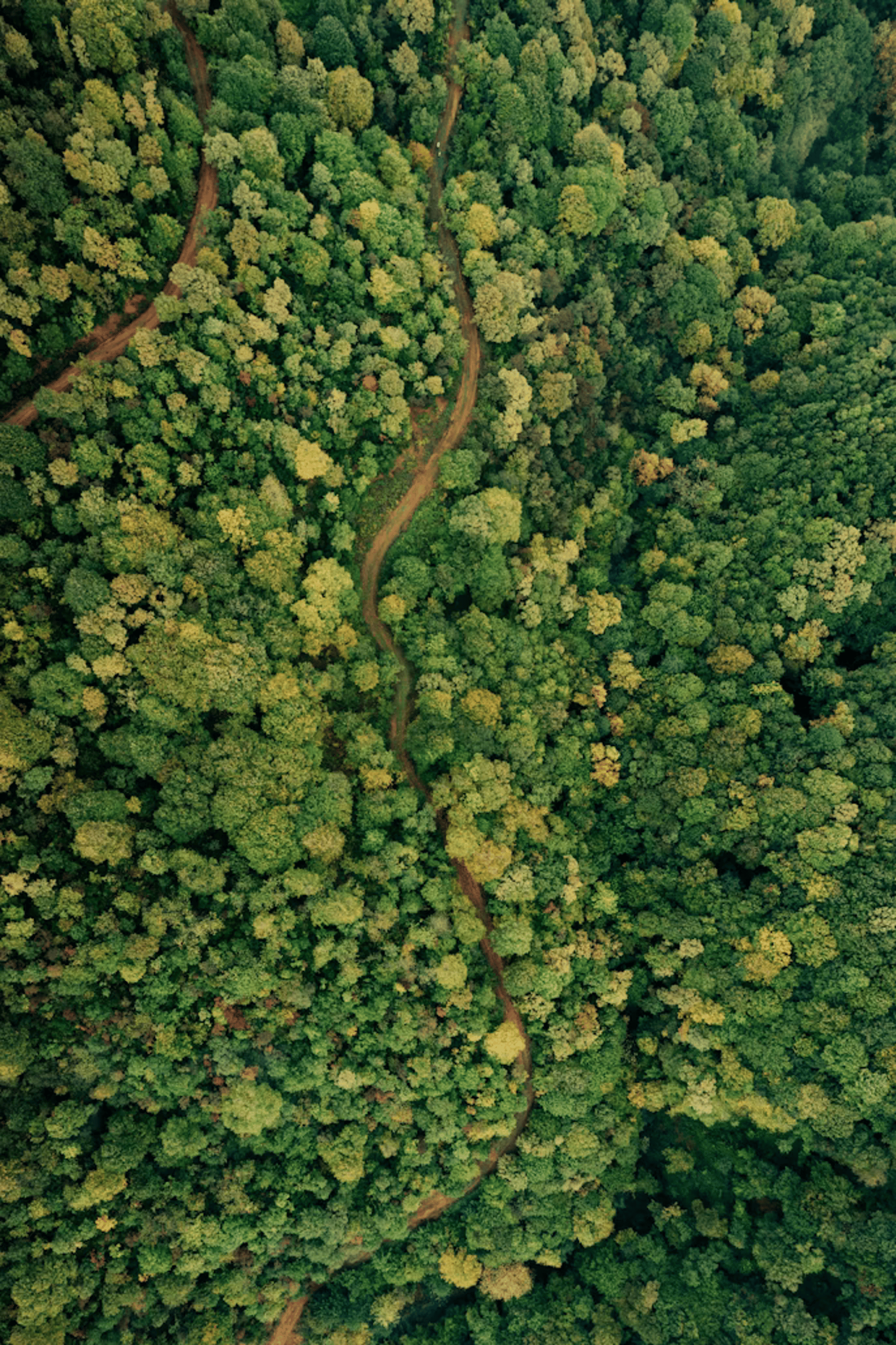brown wooden house on lake