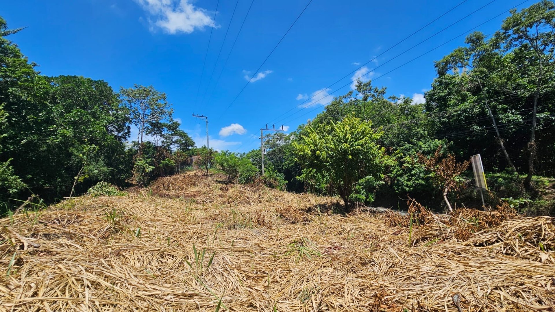 brown sand beach under cloudy sky during daytime