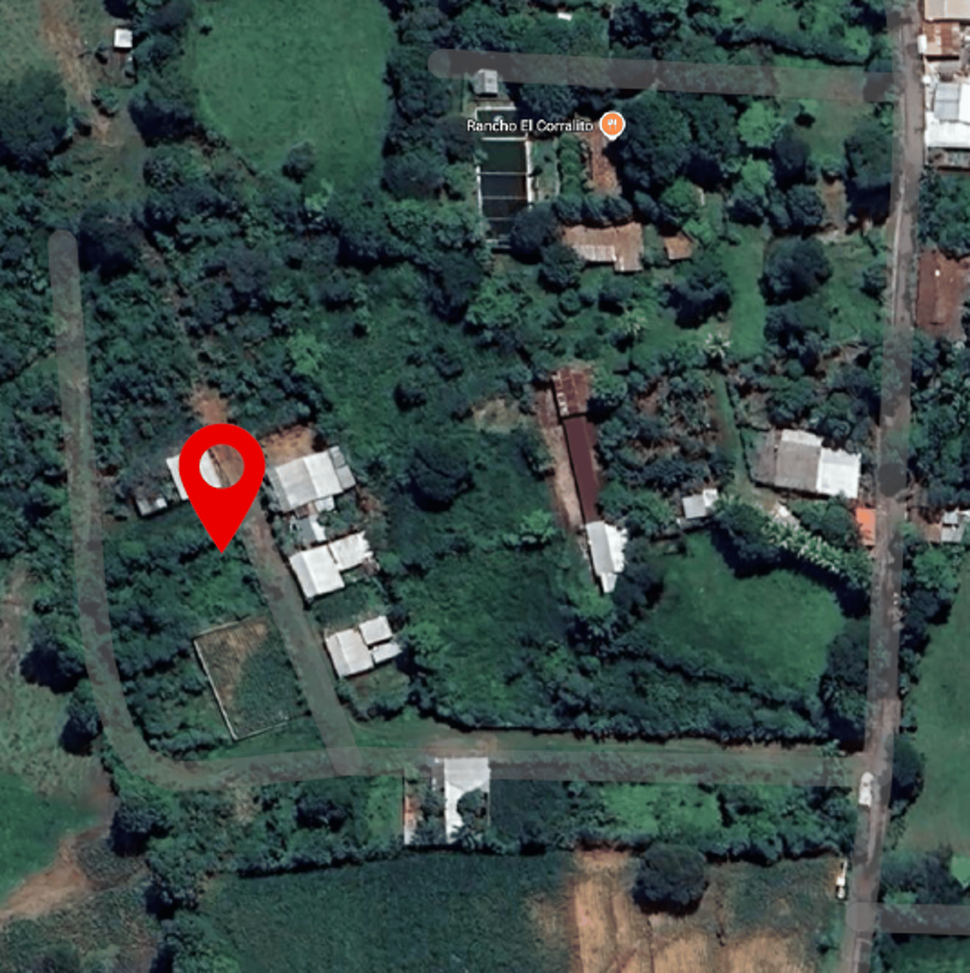 a large group of brightly colored toy animals