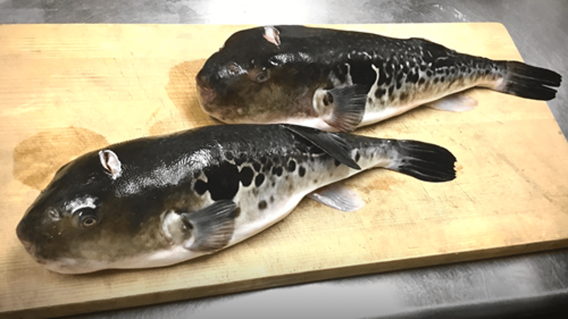 an abstract photo of a curved building with a blue sky in the background