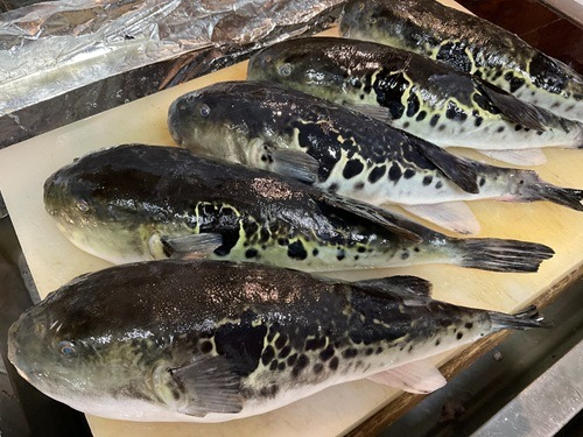 an abstract photo of a curved building with a blue sky in the background