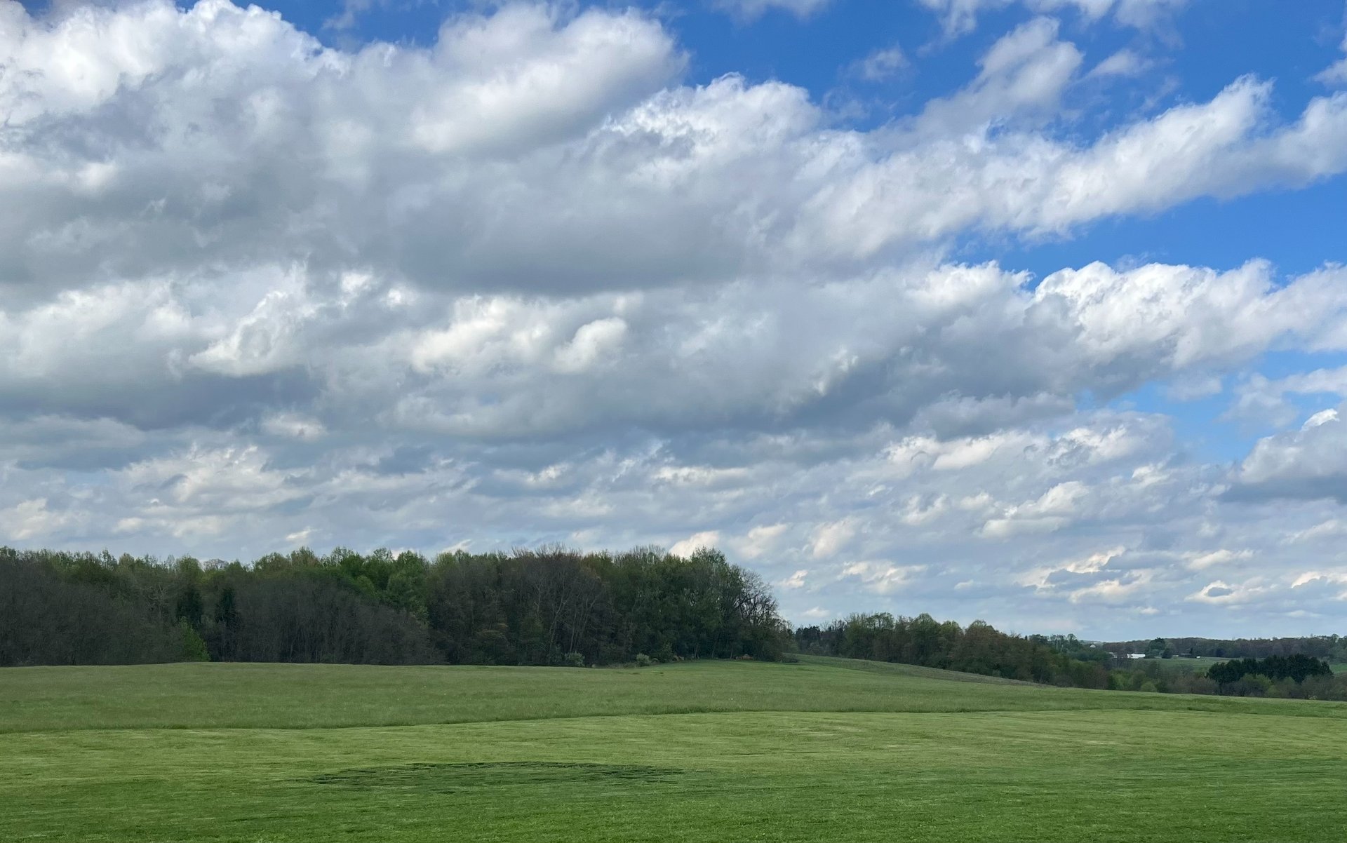 grass field