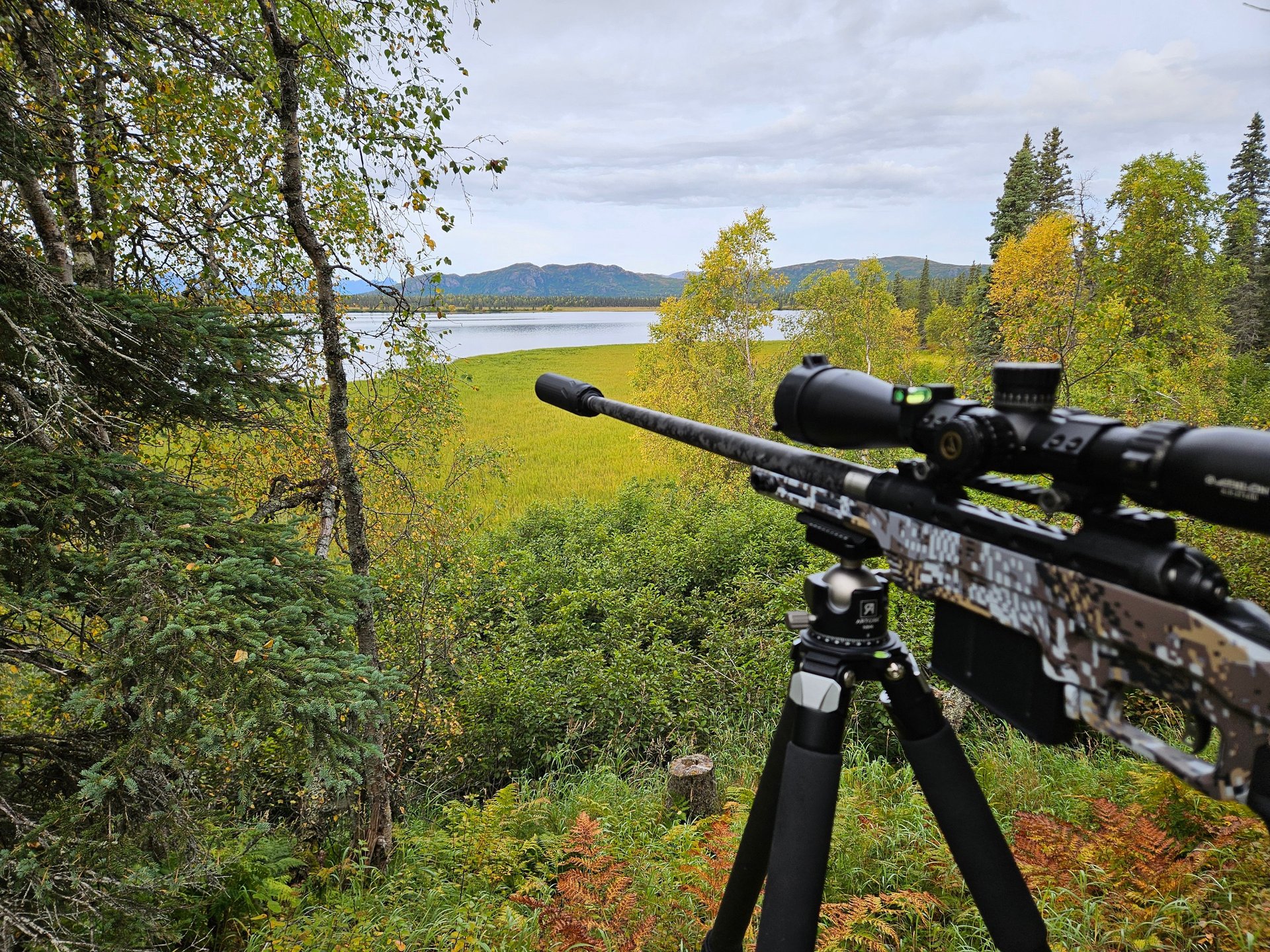 gray computer monitor
