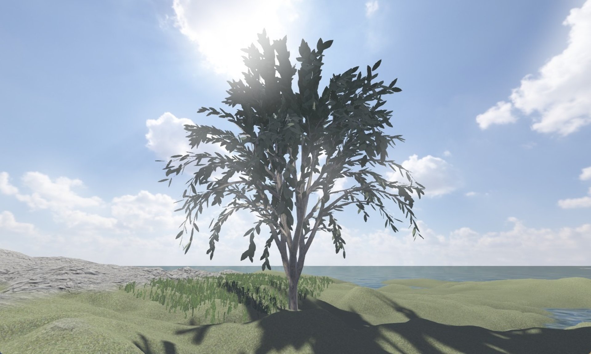 black and white bed linen