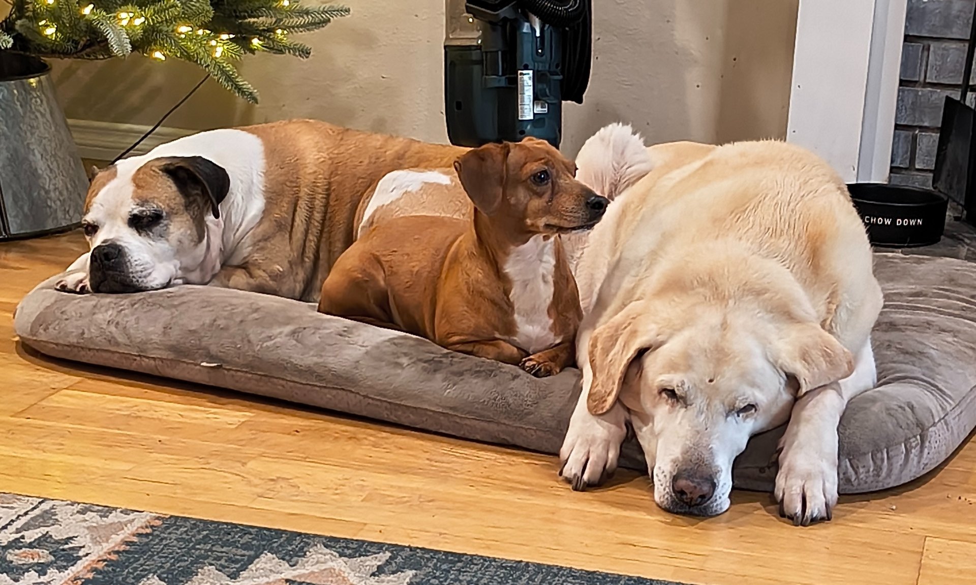 gray computer monitor