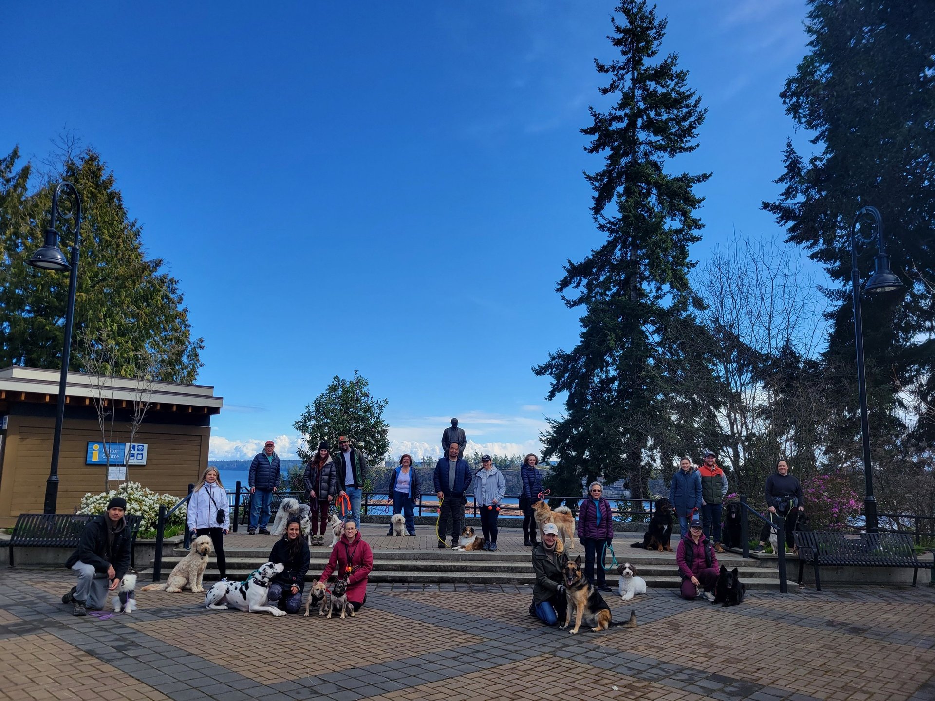 black blue and yellow textile