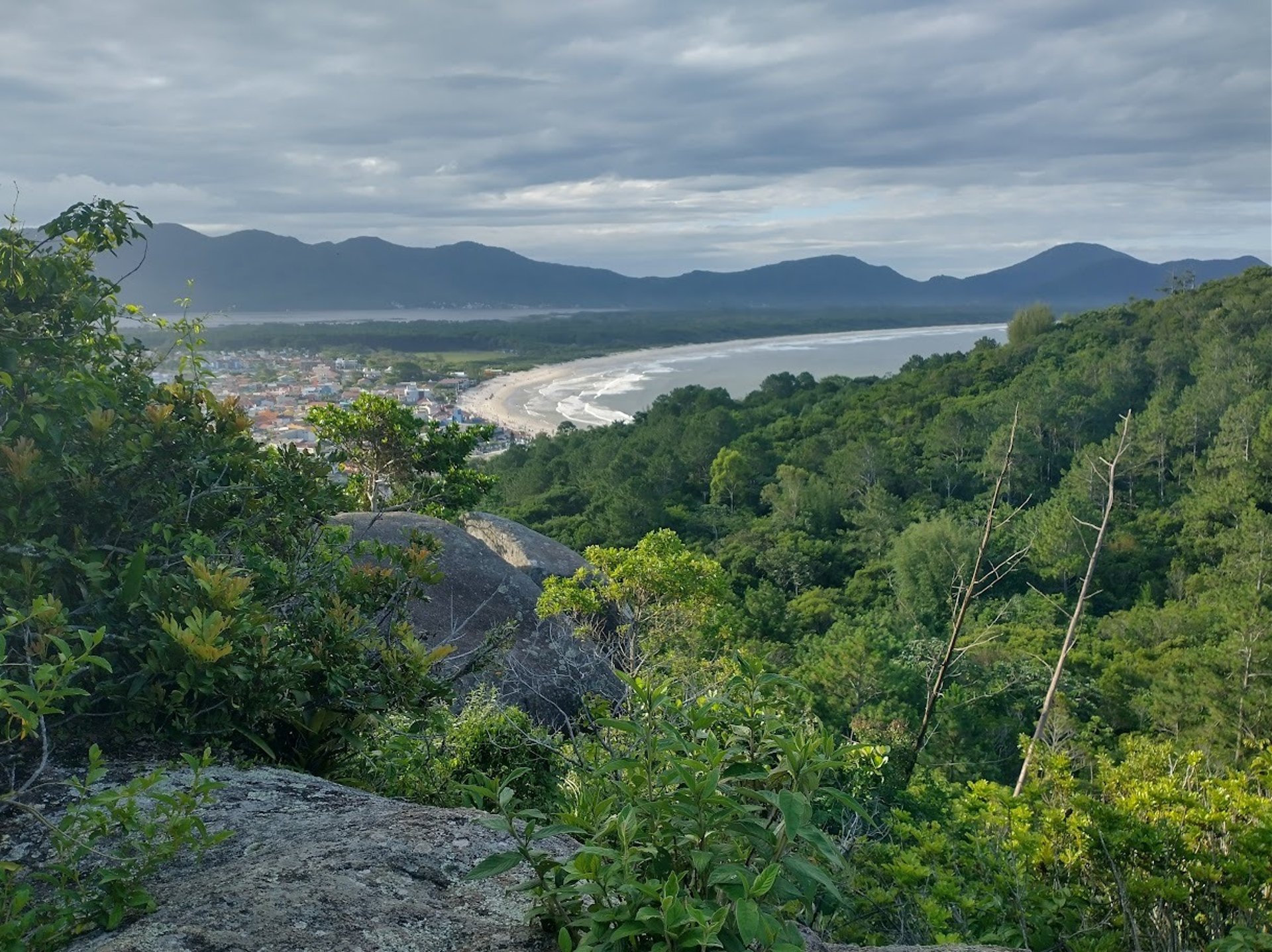 gray computer monitor