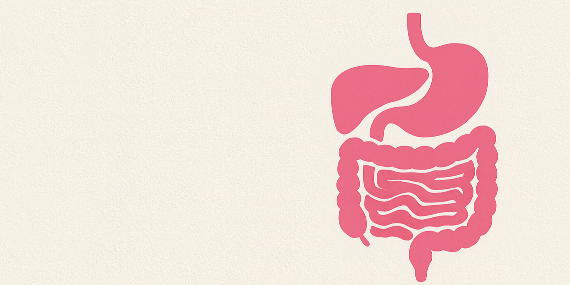 a close up of a roll of white paper