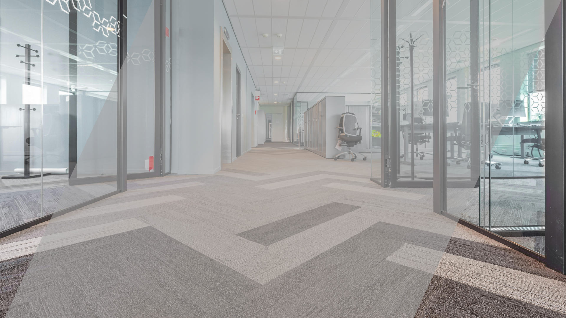 hallway between glass-panel doors