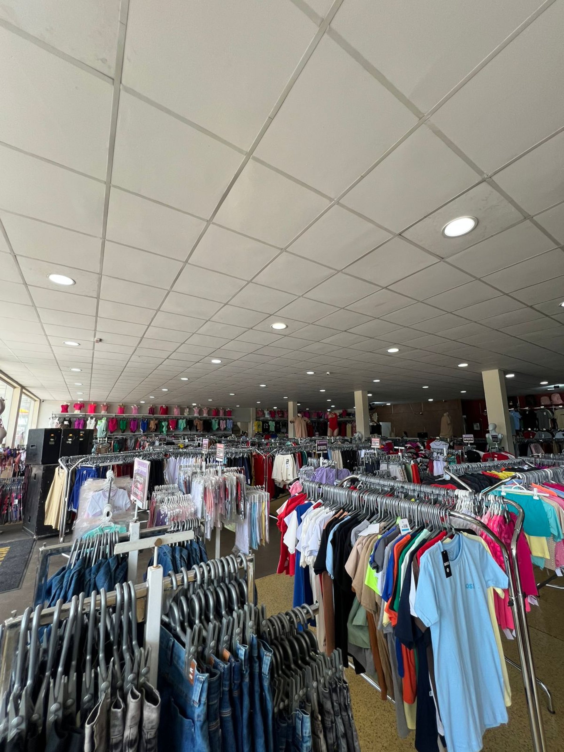 woman holding dried flower