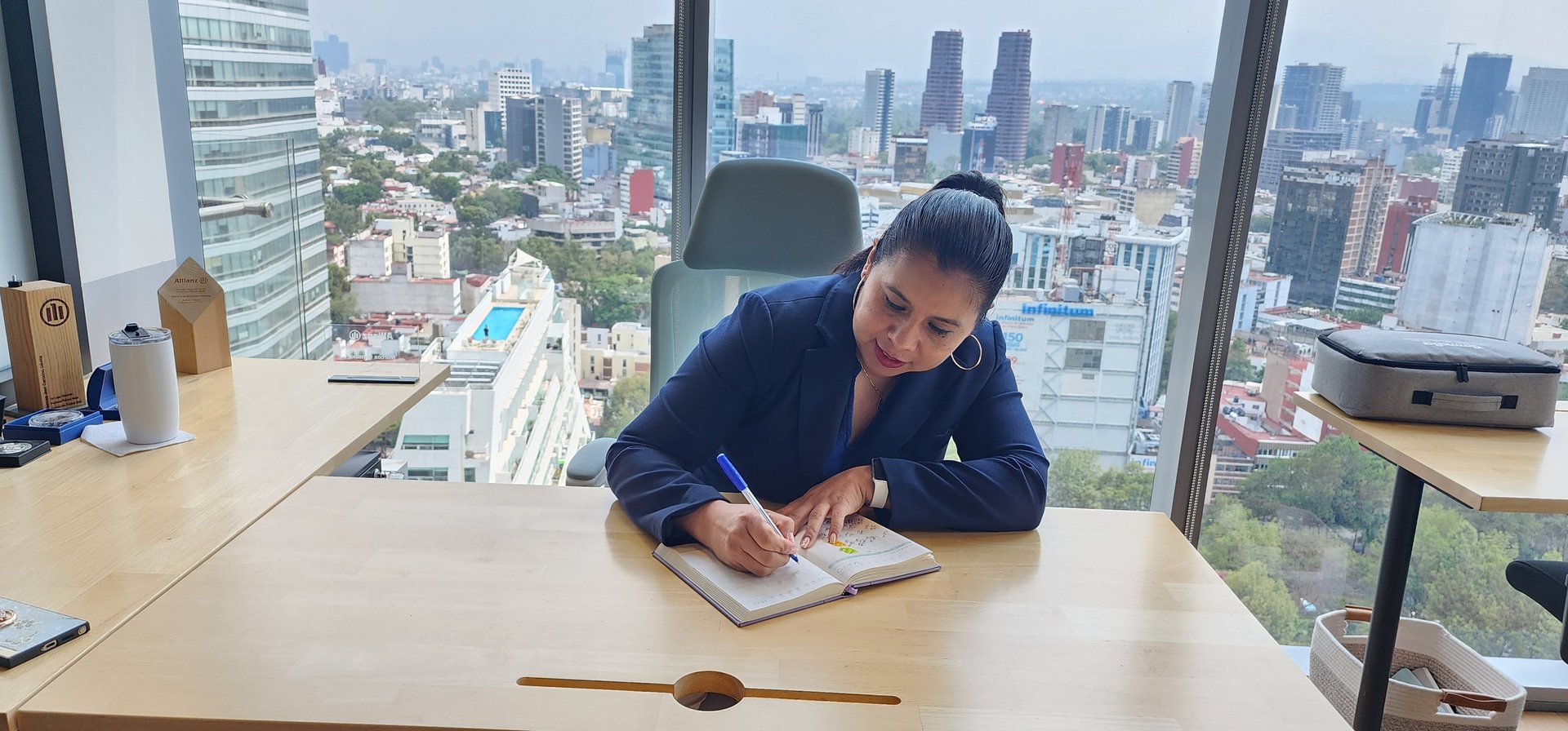 Araceli Quirino Asesora Financiera