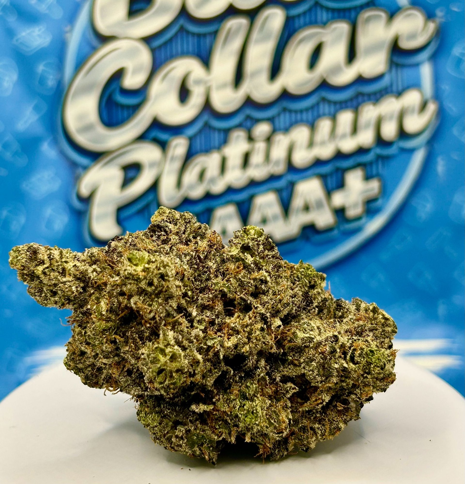 gray computer monitor