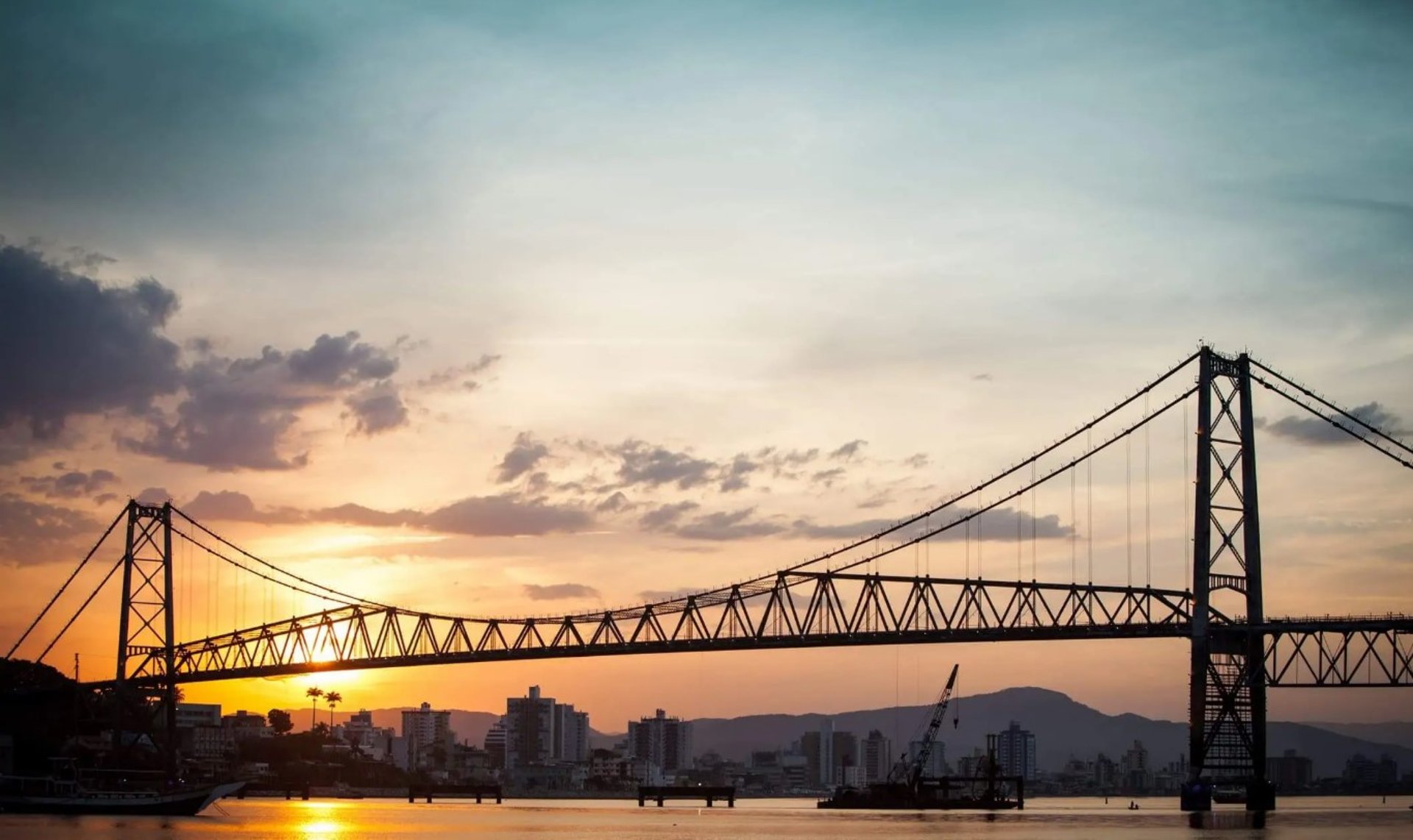 A purple-lit bridge shines brightly at night.
