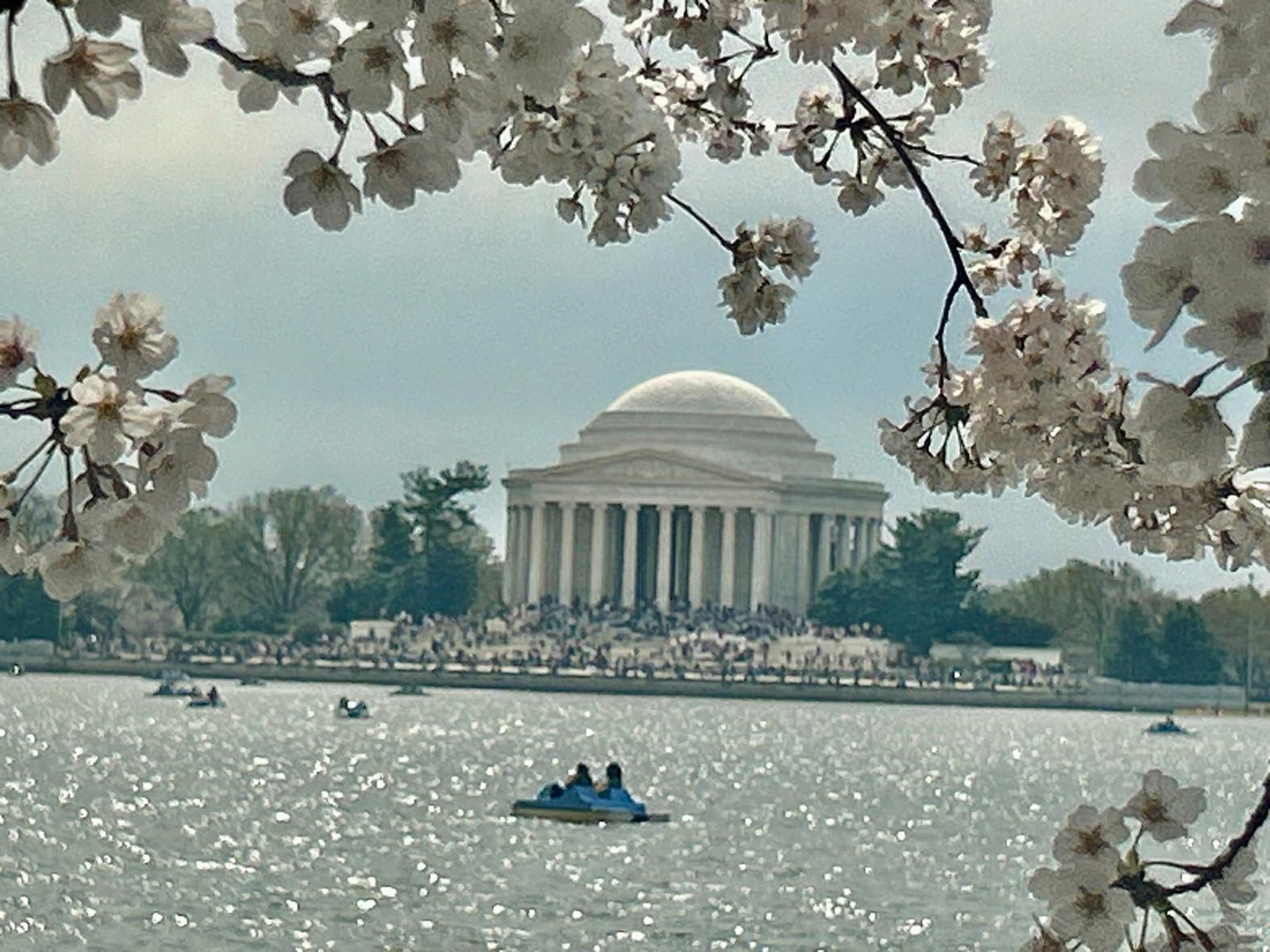 black and brown leather padded tub sofa
