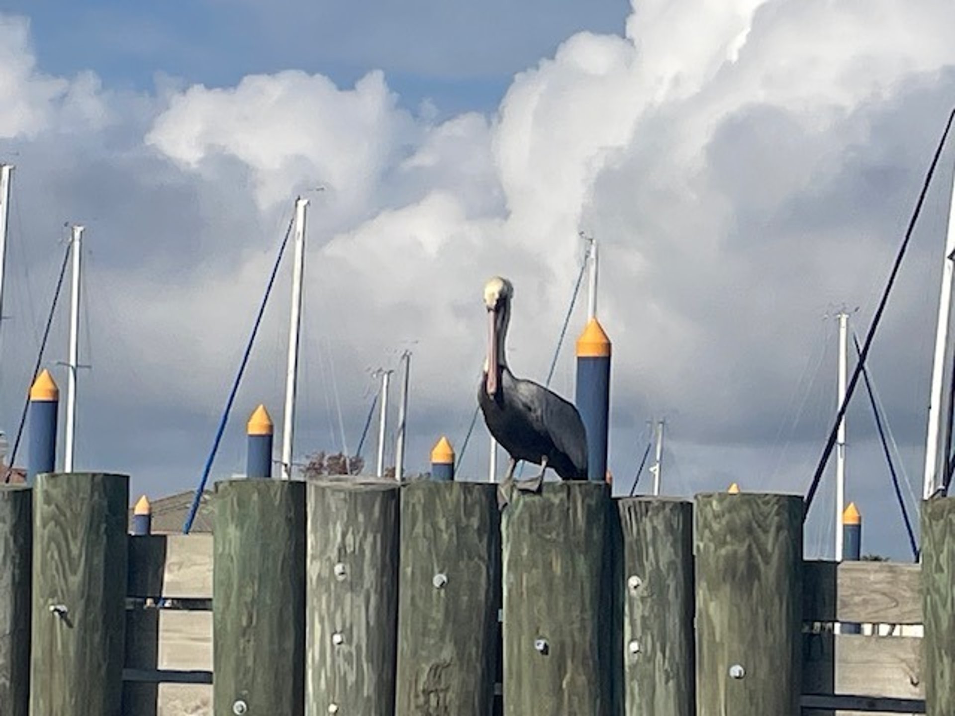 body of water under blue and white sky at daytime